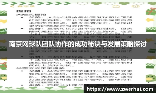 南京网球队团队协作的成功秘诀与发展策略探讨